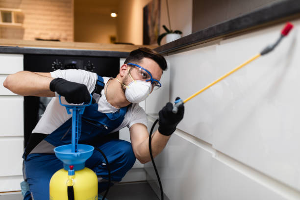 Best Mosquito Control Services  in Sterling City, TX