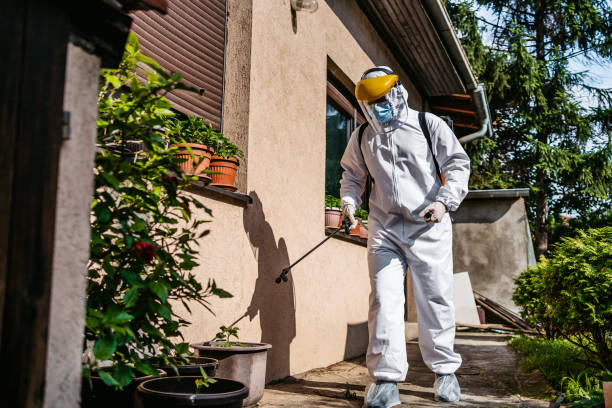 Wasp Removal Services in Sterling City, TX
