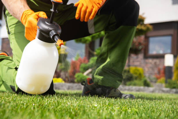 Best Pest Control for Businesses  in Sterling City, TX