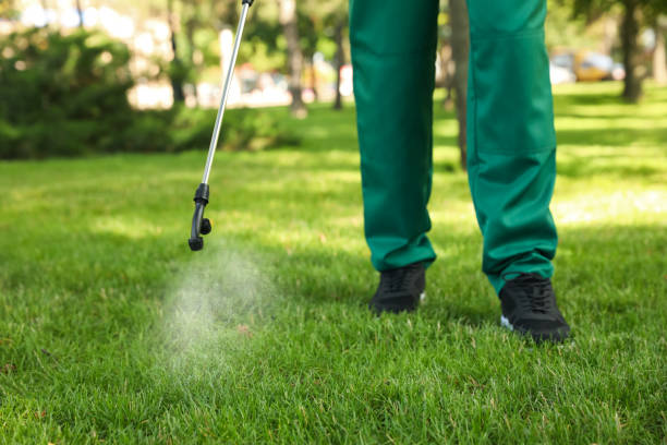 Best Residential Pest Control  in Sterling City, TX