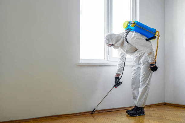 Best Wasp Removal Services  in Sterling City, TX
