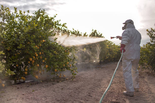Best Pest Control Near Me in Sterling City, TX