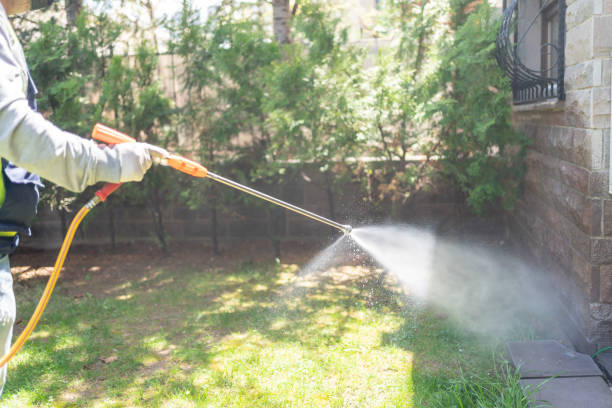 Best Best Pest Control Companies  in Sterling City, TX
