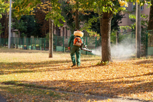 Trusted Sterling City, TX Pest Control Experts