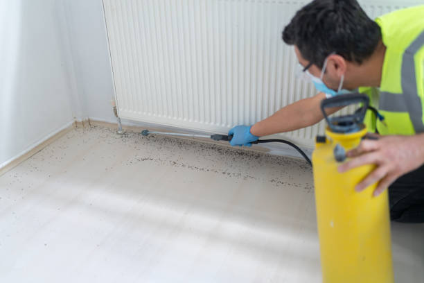 Best Pest Inspection Near Me  in Sterling City, TX