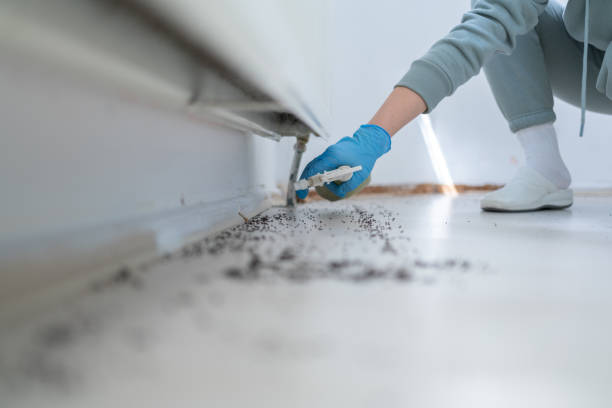 Best Wildlife Control Services  in Sterling City, TX