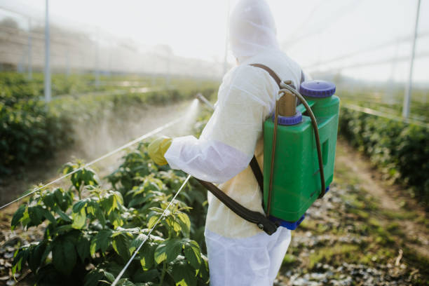 Best Rat Extermination Near Me  in Sterling City, TX